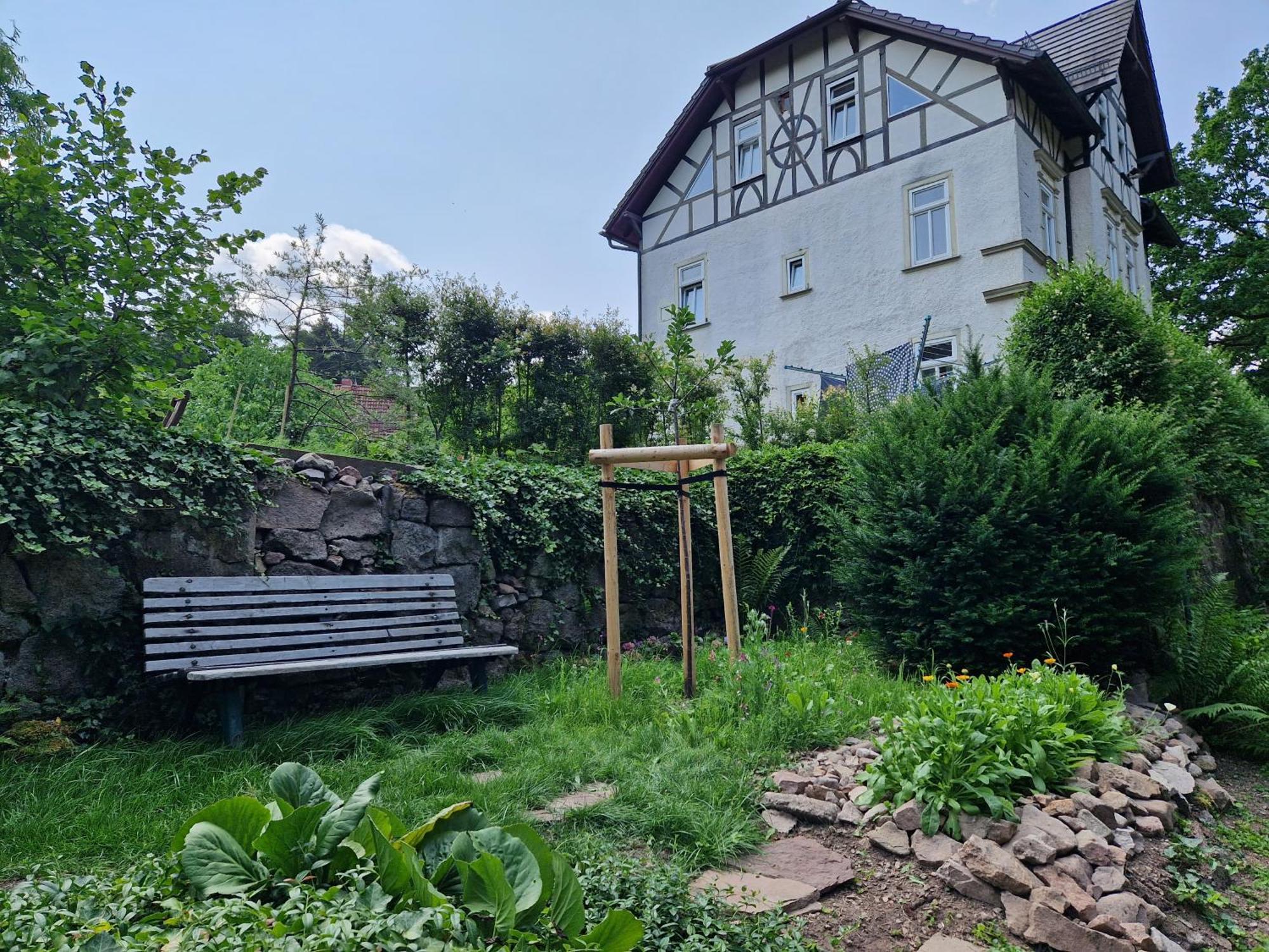 Luisenthal Ferienwohnung Im Logierhaus Villa Ihler מראה חיצוני תמונה